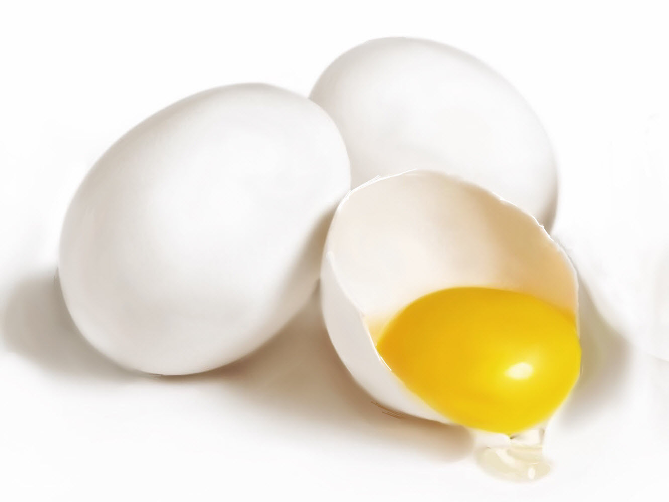 Still Life with Eggs