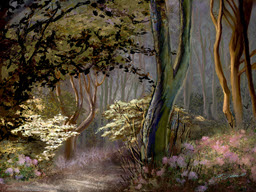 EnchantedForestWalk