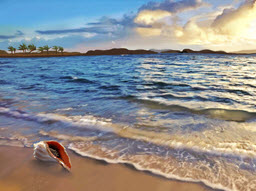 Caribbean Conch Beach