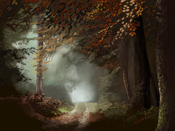 Foggy Trip through the Forest