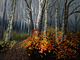 Birches with Fall Bushes